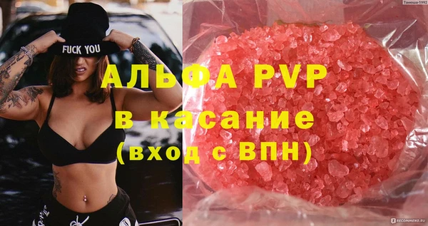 трава Белокуриха