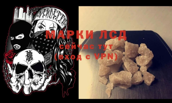 трава Белокуриха