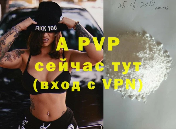 трава Белокуриха