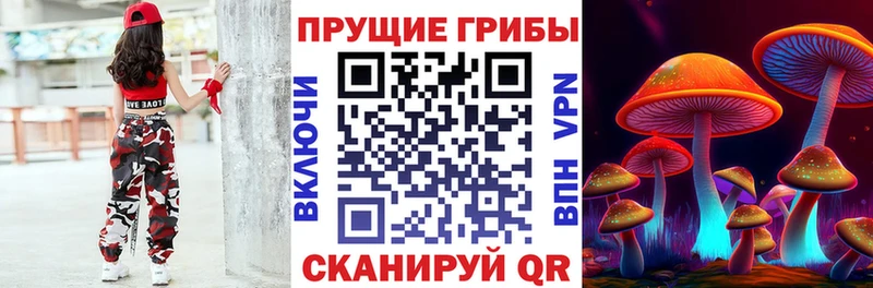 Псилоцибиновые грибы GOLDEN TEACHER  сколько стоит  кракен рабочий сайт  Валуйки 