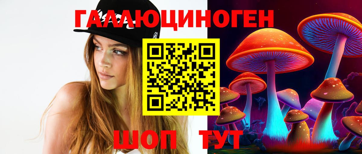 Псилоцибиновые грибы прущие грибы  Вход с VPN  Валуйки 